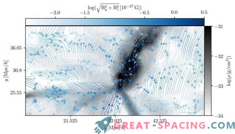 Determination of the initial magnetic field in our cosmic neighborhood