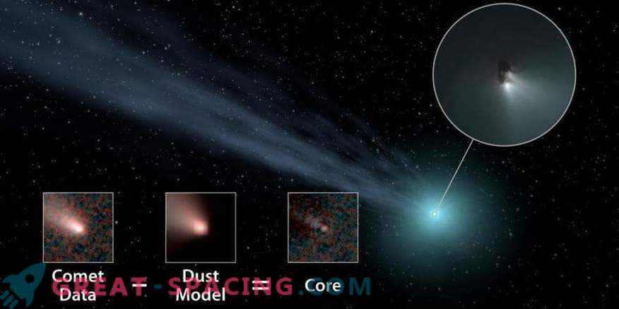 Large distant comets are common