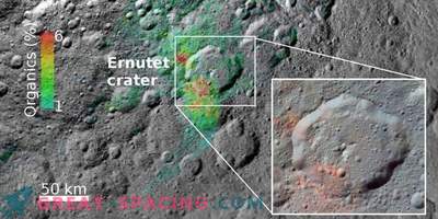 The origin of organic matter in Ceres