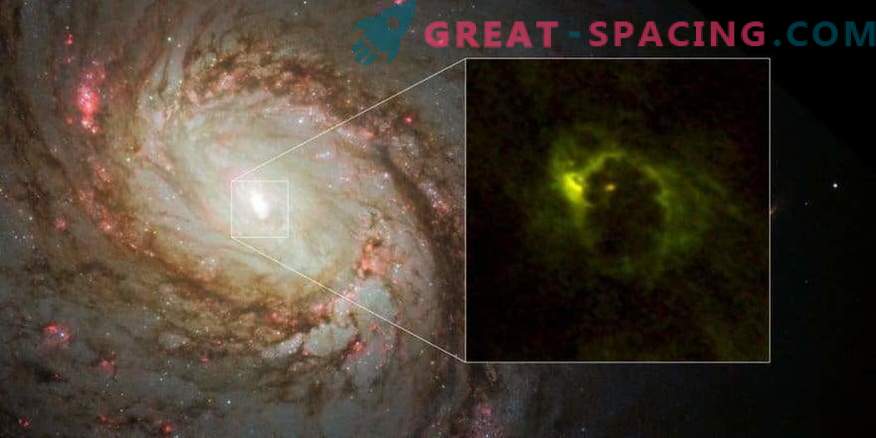 Gas donut around a supermassive black hole