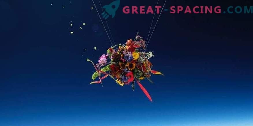 Can flowers grow in space? And if so, where is this possible?