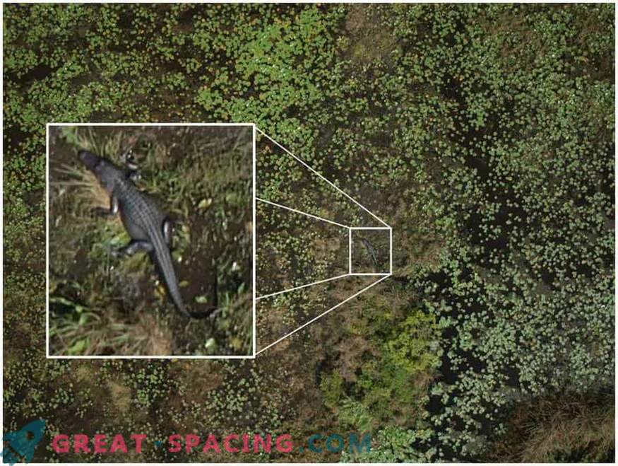 How drones will help unravel the secret of crop circles