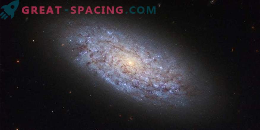 Approved ancient spiral galaxy