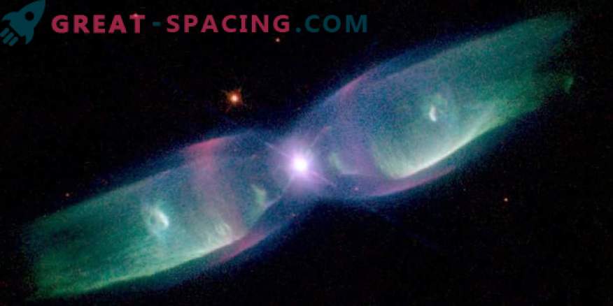 New discovery in the center of the planetary nebula M 3-1