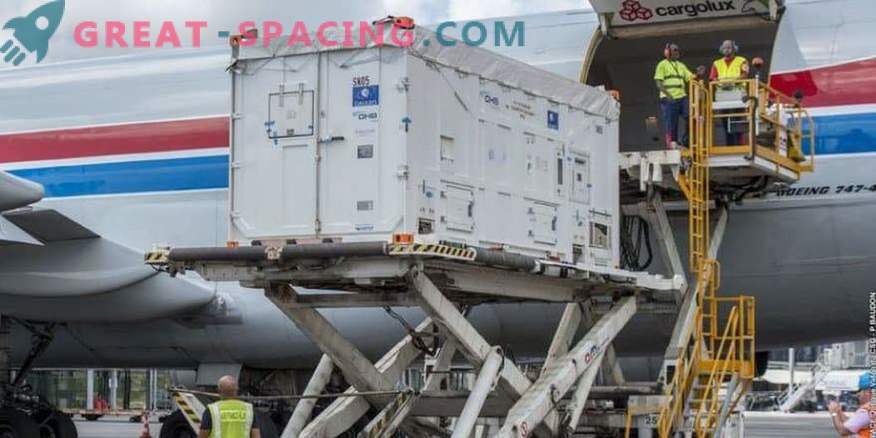 A pair of satellites for Galileo arrives in the jungle