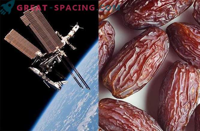 Space Prunes for Astronaut Bone Health