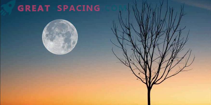 What to expect from the Full Moon April 19, 2019