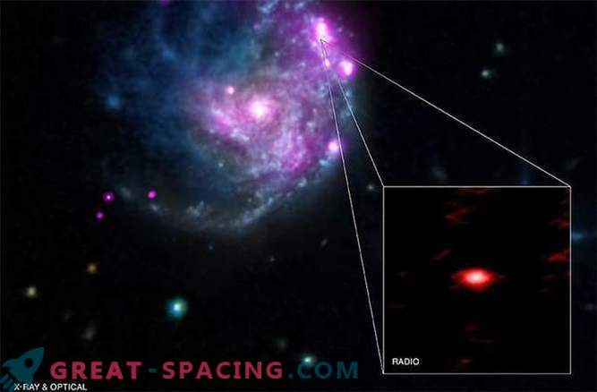 A rare class of black hole forms the galactic dead zone