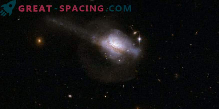 Active galactic nuclei and star birth