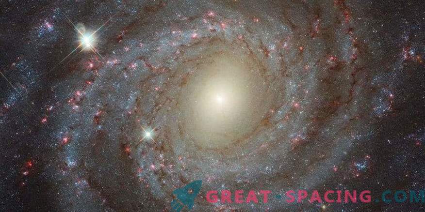 Lonely Beauty NGC 3344