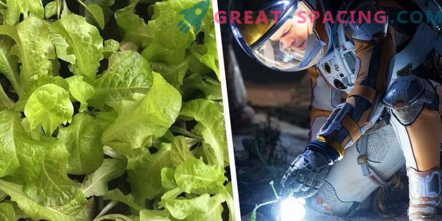 How will extraterrestrial agriculture function on Mars?