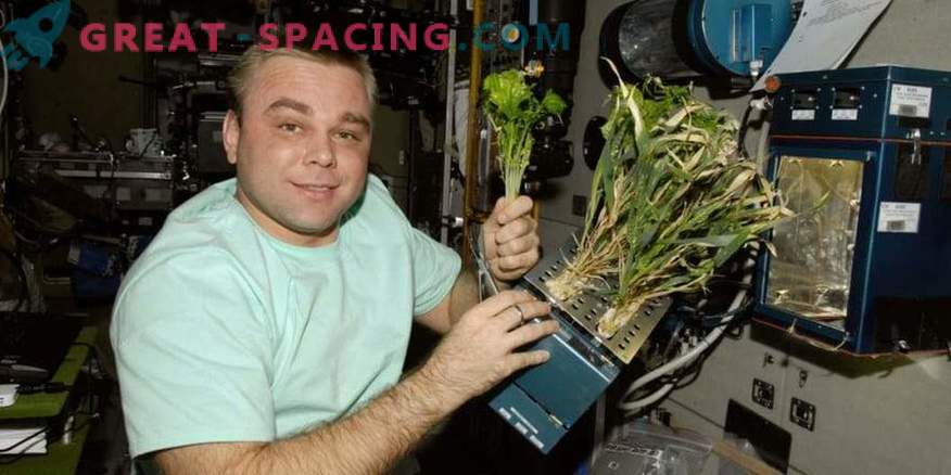 Experiment on oxygen processing on the ISS