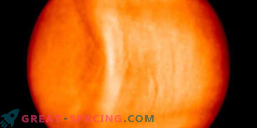Giant gravitational wave discovered on Venus