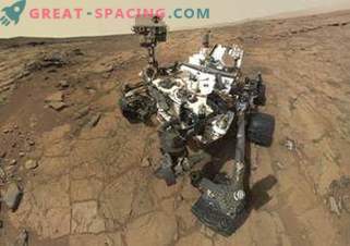 What will further research show? Organic compounds on Mars and their nature
