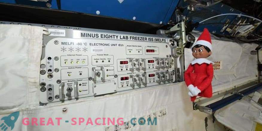 Elf on the International Space Station