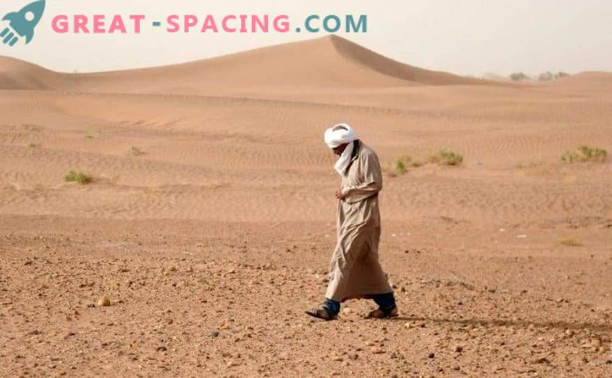 Desierto marroquí tamizado por cazadores de meteoritos