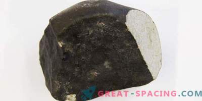 Des scientifiques néerlandais célèbrent l'arrivée d'une météorite rare