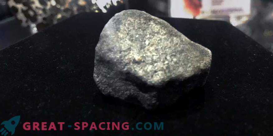 Rapid detection and recovery - the science of meteorite hunting