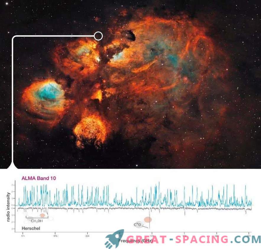 ALMA first analyzes the massive formation of stars