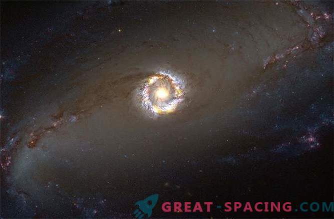 How to determine the weight of a black hole - a monster of a spiral galaxy?