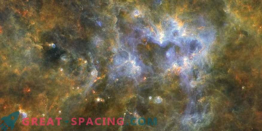 Hidden secrets of the massive zone of starry birth