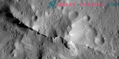 Does the surface of Ceres infest with carbon?