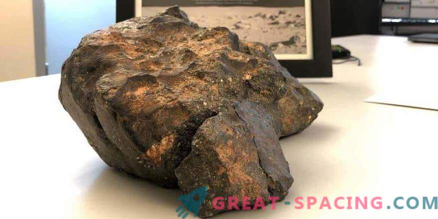 The lunar meteorite was sold for $ 600,000