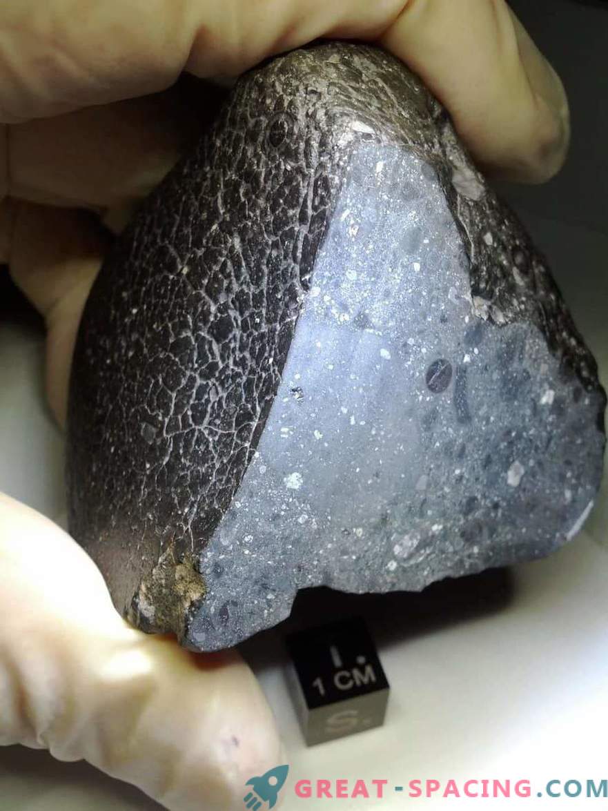 Meteorites brought water to Earth in the first two million years