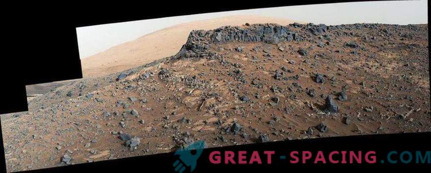 Increased zinc and germanium levels confirm Martian life