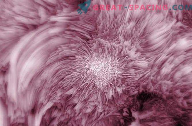 Fibrils on the surface of the Sun: Photo