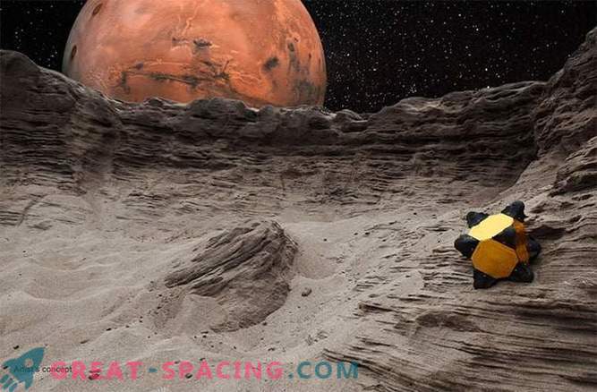 Igelroboter können auf das Sonnensystem springen