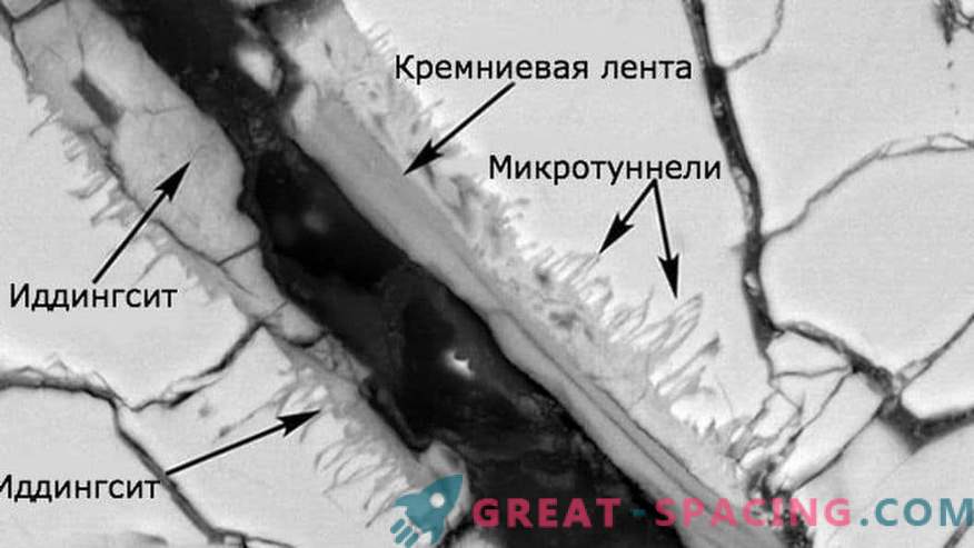 Life is detected in samples of a Martian meteorite