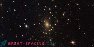 Scaling Early Universe