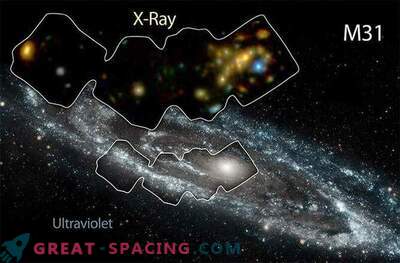 The Andromeda Galaxy is heated by X-ray 